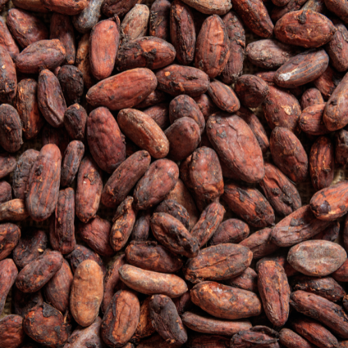 Cocoa Beans