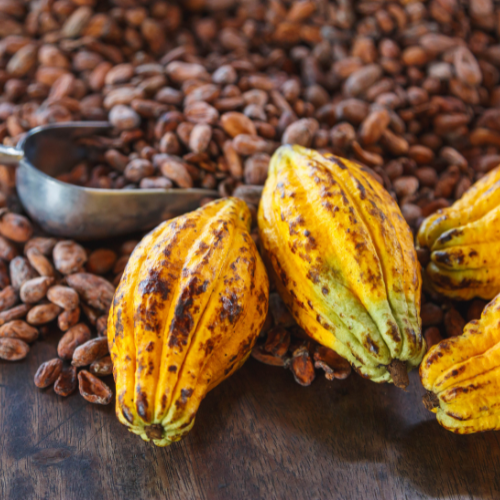 Cocoa Beans